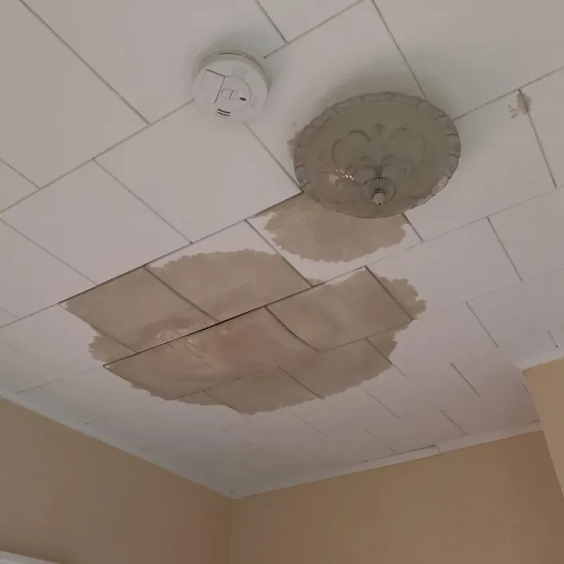 Ceiling Water Damage Repair in Lake Saint Croix Beach, MN